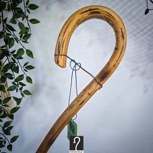Κρητική Κατσούνα Ιδανική για καθημερινή χρήση και μπαστούνι πεζοπορίας. Ξύλο Πρίνου και ύψος 1,04 μ | ΚΩΔ 041125-ΤΖ37