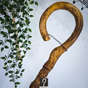 Special Κρητική Kατσούνα με φυσική σπείρα στον κορμό που θα εντυπωσιάσει όποιον τη δεί. Ύψος 1,15 μ  | ΚΩΔ 111125-Σπείρα