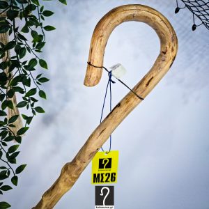 Vintage Εντυπωσιακή κρητική κατσούνα. Από ξύλο Σκίνου και ύψος 1,20 μ και άγριο κορμό | ΚΩΔ 151225-ΜΣ26