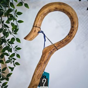 Ανθεκτική Κρητική κατσούνα έργο τέχνης και με διπλό αντίθετο γύρισμα και... "παταράκι" για ξεκούραση. Από ξύλο Πρίνου, ύψος 1,35 μ | ΚΩΔ 271225-ΧΚ01