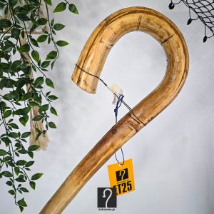 12,5 εκ περίμετρος, άκρος εντυπωσιακή Κρητική Κατσούνα από ξύλο Αγριοσυκιάς. Ύψος 1,41 μ | ΚΩΔ: 170226-ΣΤ25