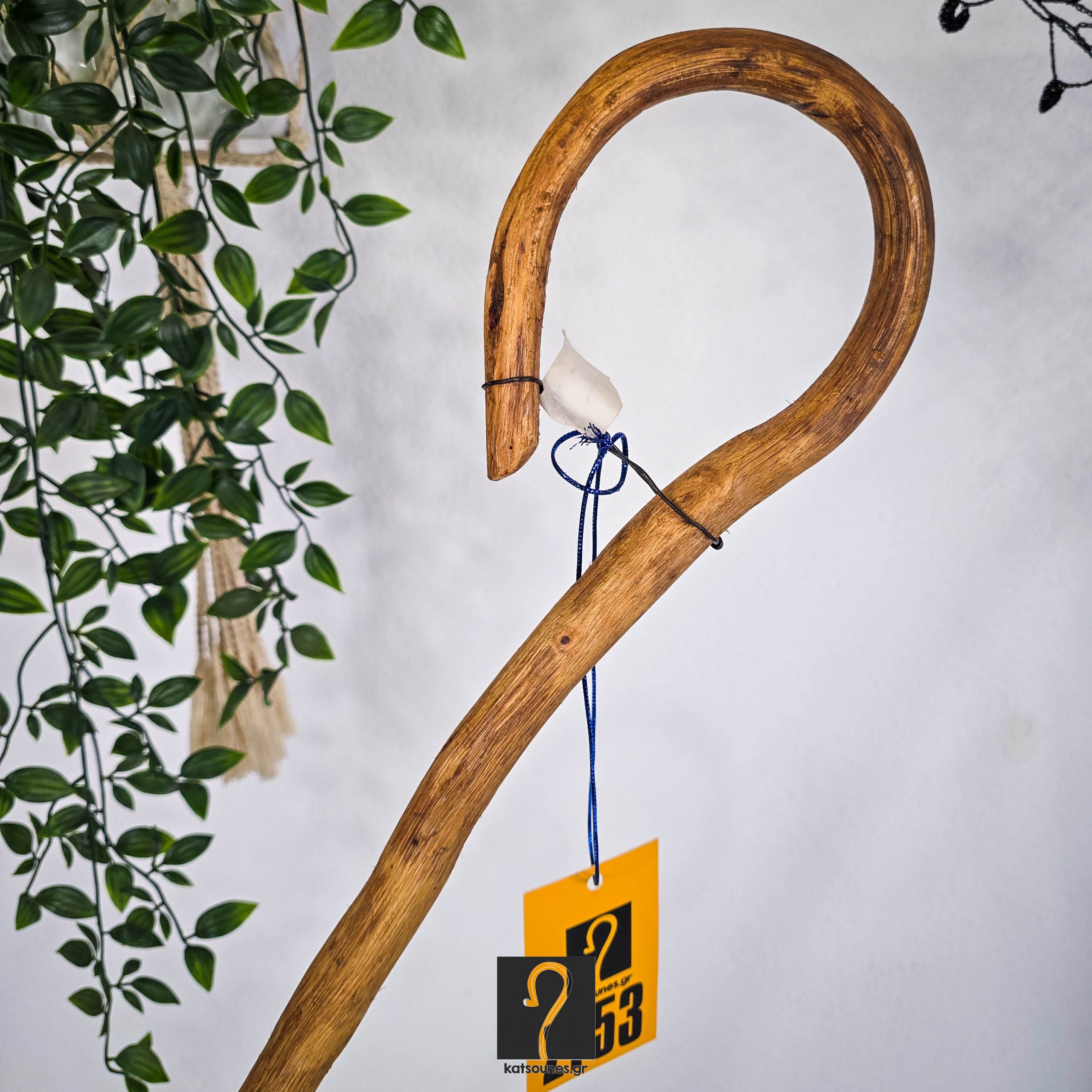 Special Γκλιτσοκατσούνα. Με μεγάλο ύψος στα 1,80 μ και Ξύλο Πρίνου | ΚΩΔ: 210226-ΣΤ53