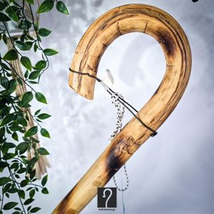 13 εκ περίμετρος, άκρος εντυπωσιακή Κρητική Κατσούνα από ξύλο Αγριοσυκιάς. Ύψος 1,40 μ | ΚΩΔ: 220526-ΧΚ47